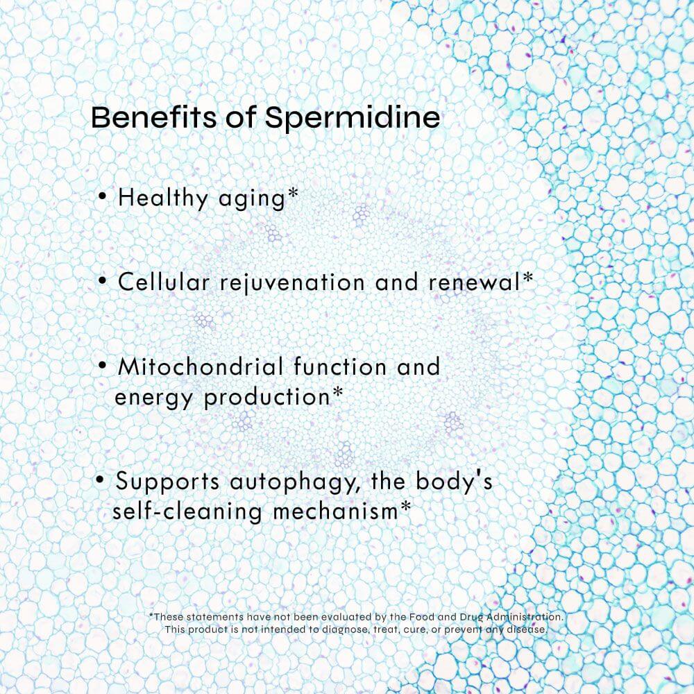 Spermidine Tablets
